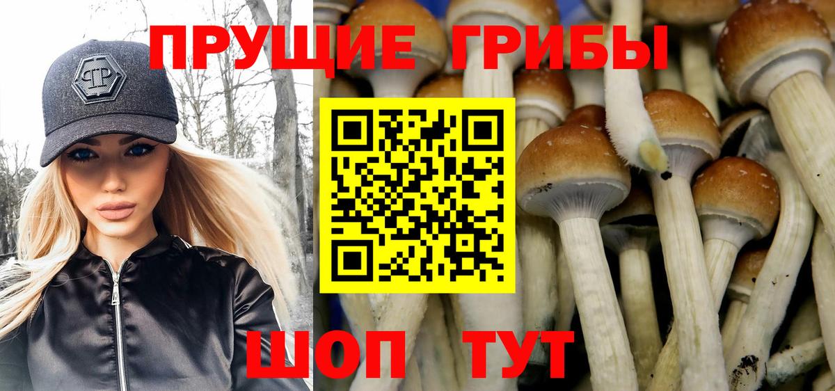 купить наркотик  Вход с VPN  Керчь  Псилоцибиновые грибы прущие грибы 